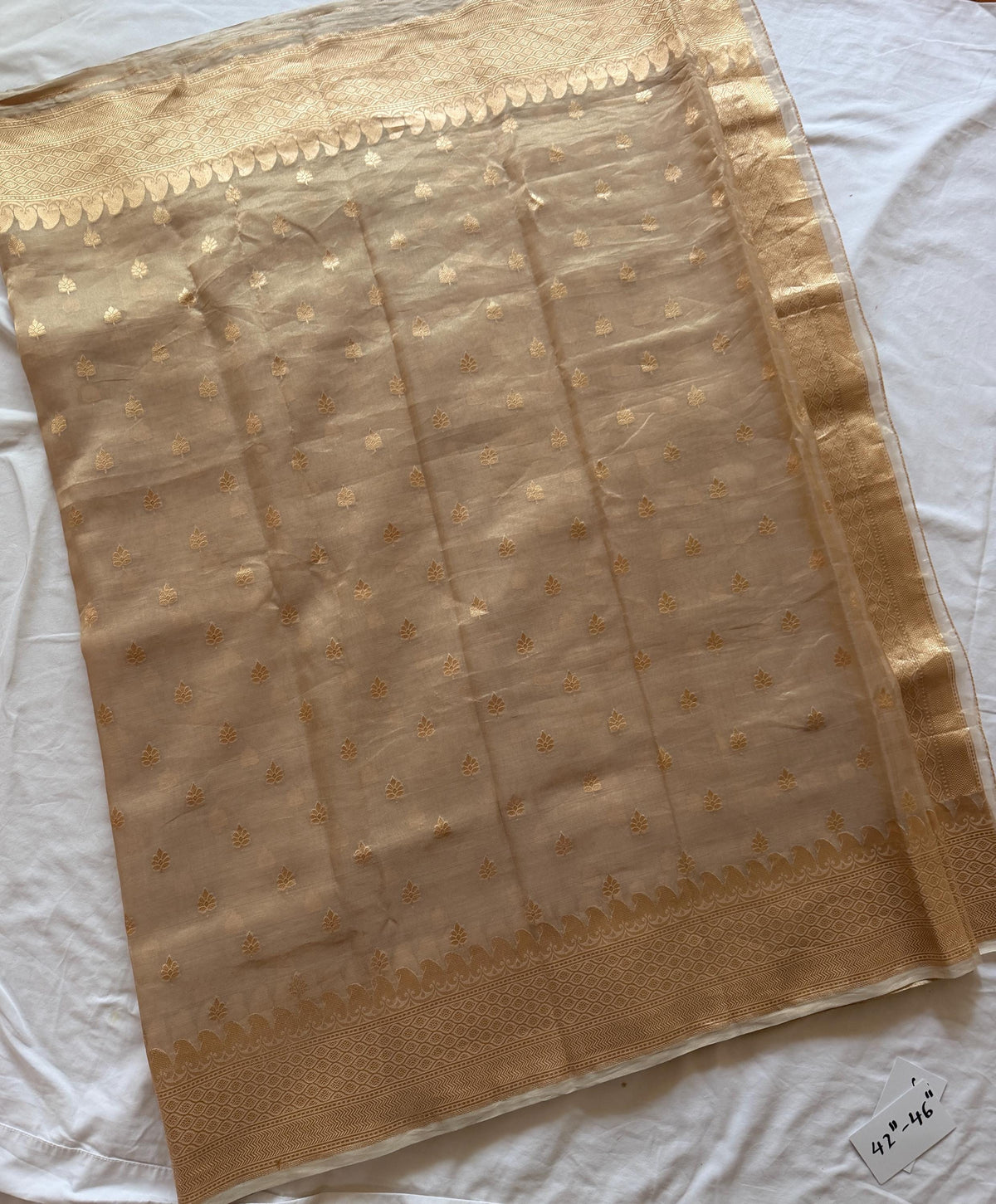 Light Gold Tissue Silk Saree with Zari Border | Banarasi Wedding Festive Saree